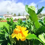 Marina Mar Ii