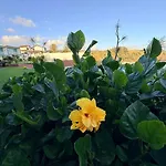 Marina Mar Ii