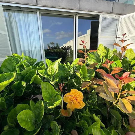 Marina Mar Ii Vila Franca do Campo