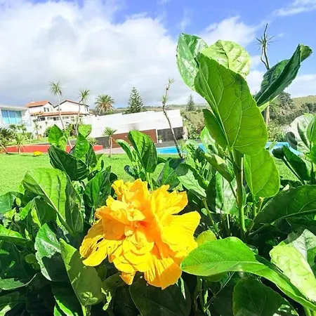 Marina Mar Ii