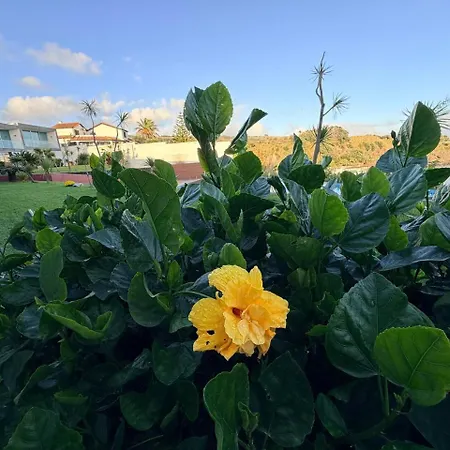 Marina Mar Ii