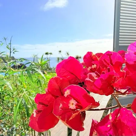 דירה Marina Mar Ii וילה פראנקה דו קמפו