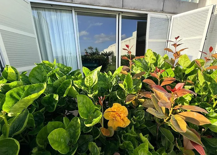 Marina Mar Ii Vila Franca do Campo