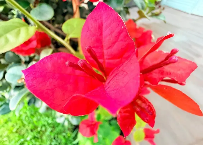 Marina Mar Ii דירה וילה פראנקה דו קמפו