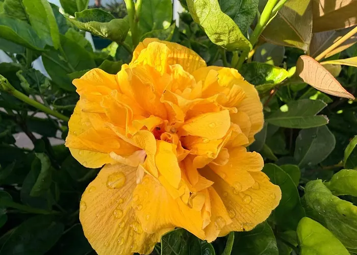 דירה Marina Mar Ii וילה פראנקה דו קמפו