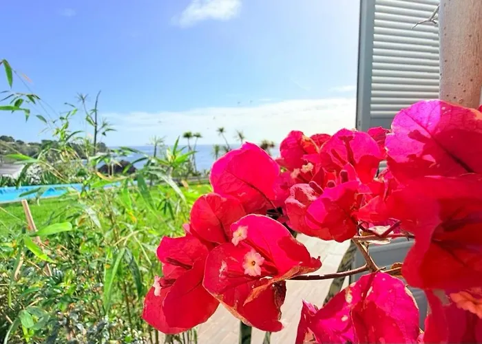 Διαμέρισμα Marina Mar Ii Vila Franca do Campo