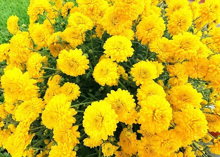 Διαμέρισμα Marina Mar Ii